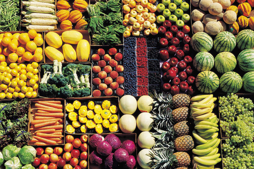 agribusiness_kenya